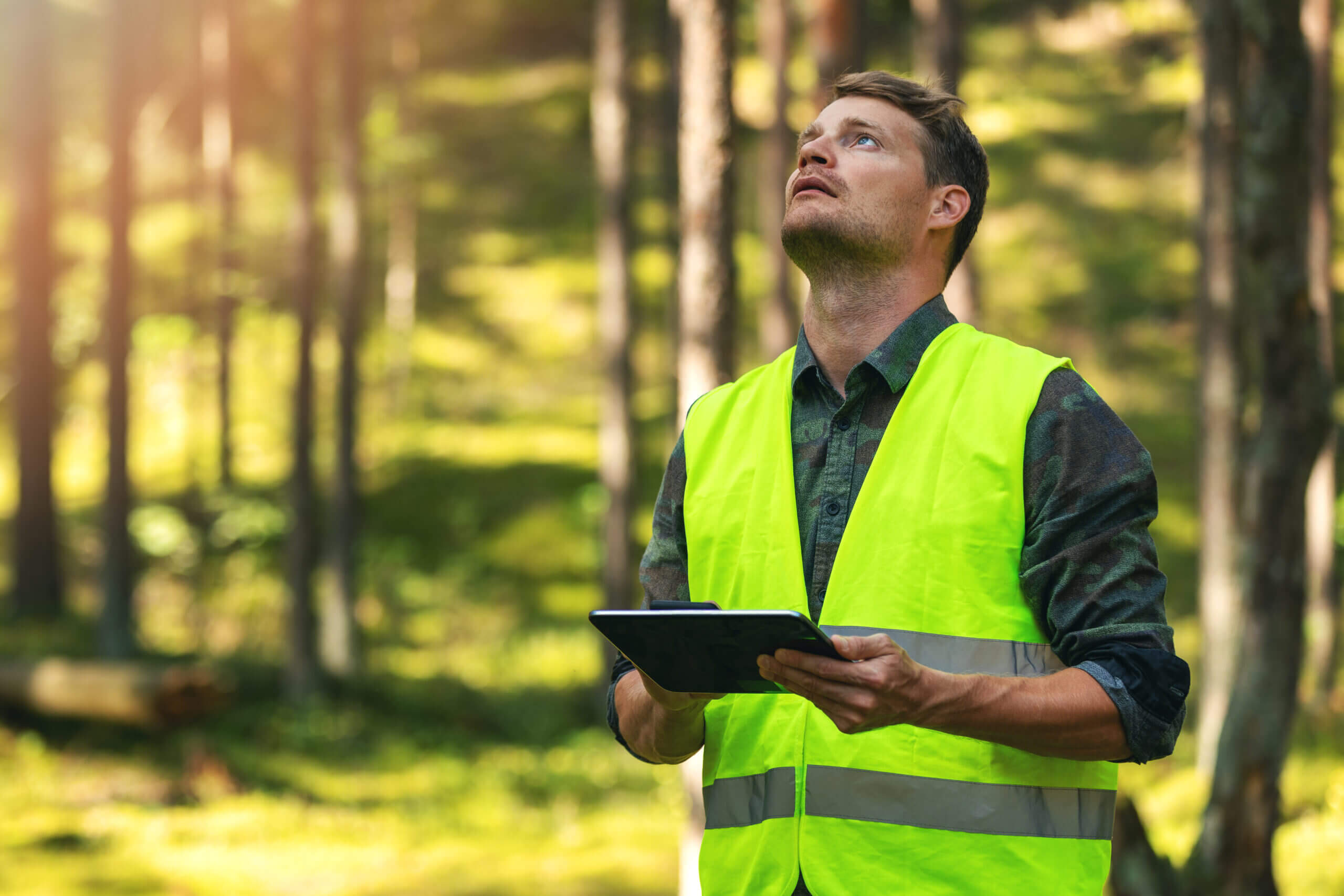 Colorado Arborist Association