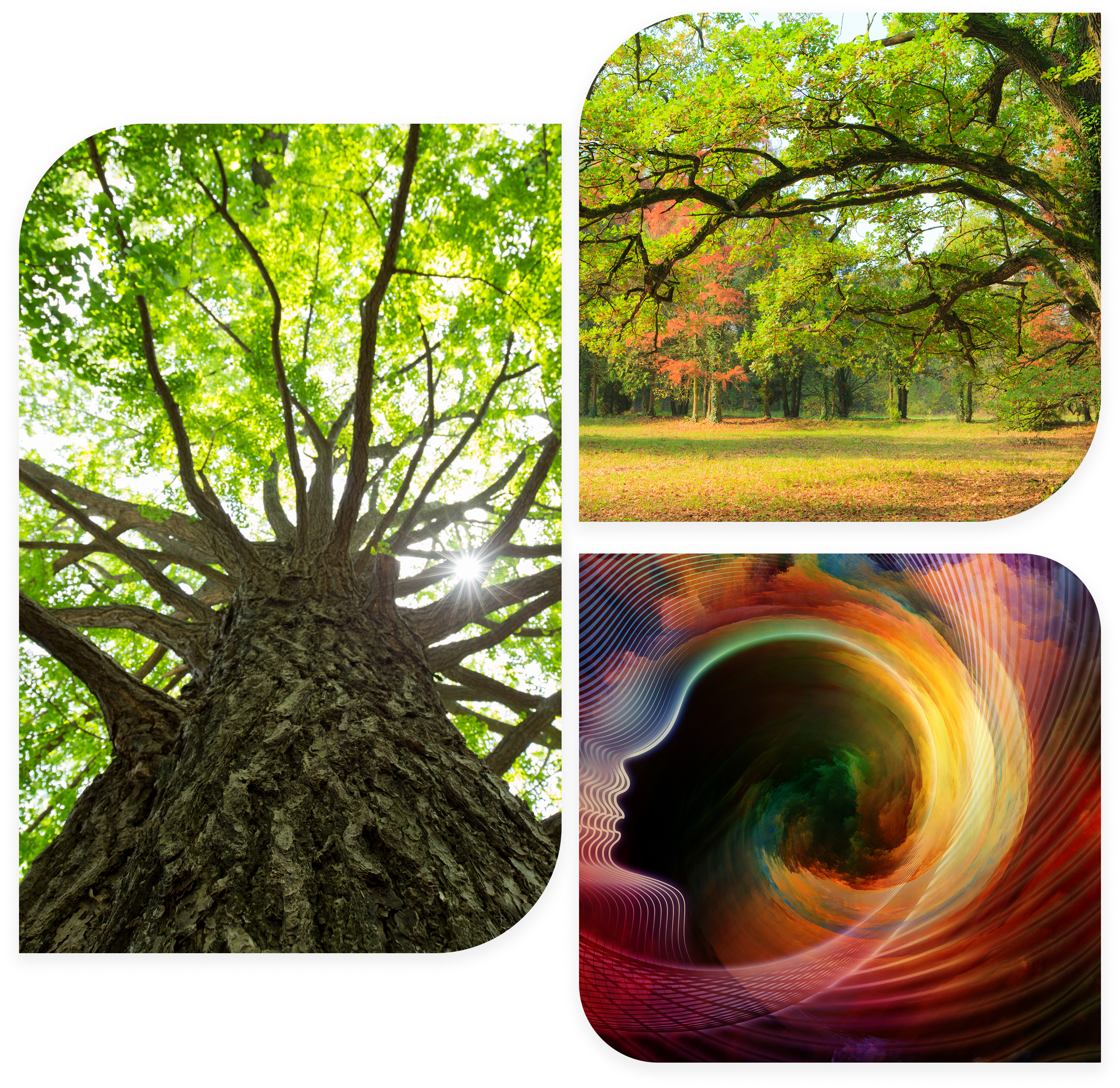 image 3 image 3